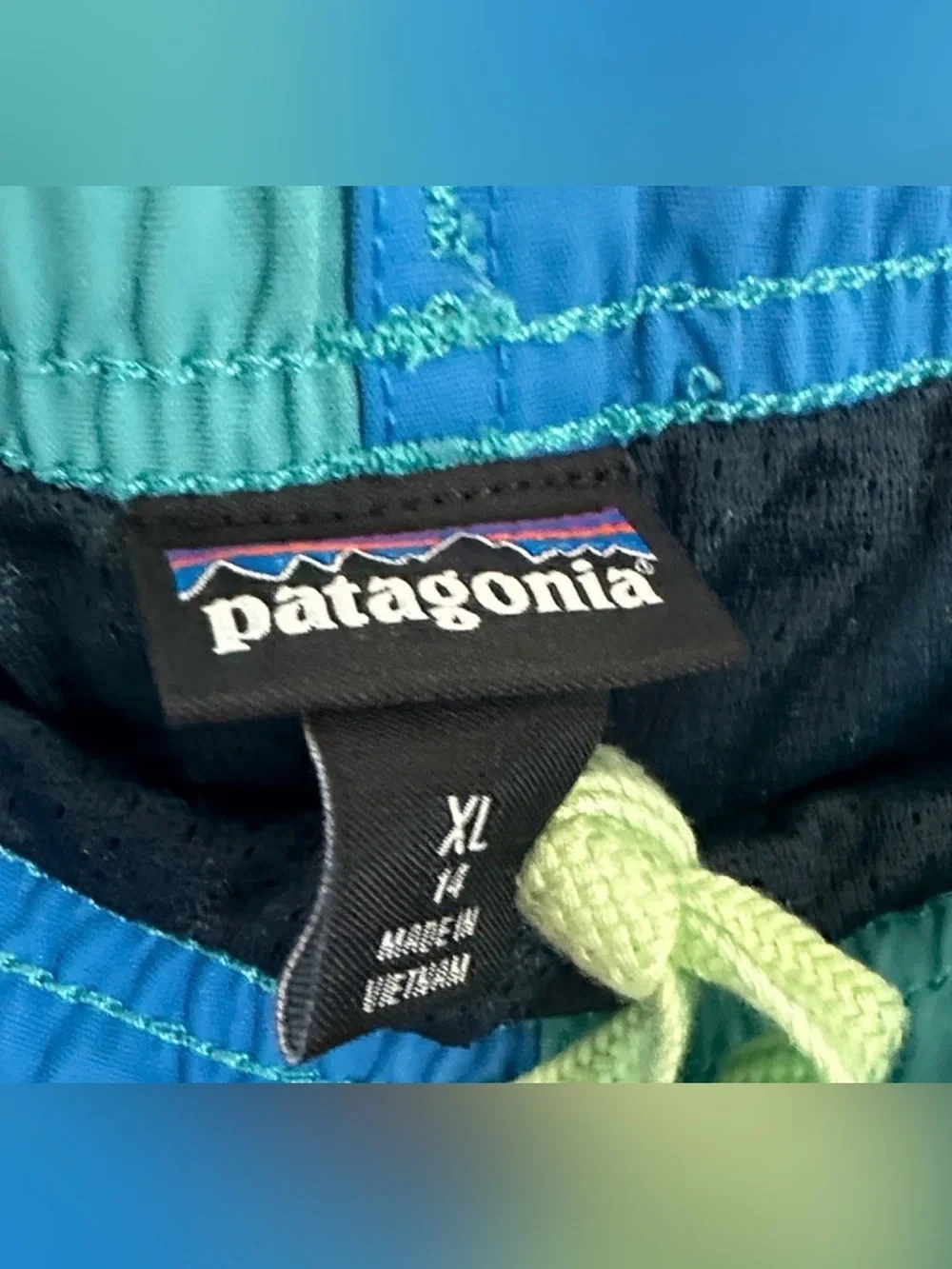Patagonia youth Two-Tone Teal & Blue Swim Trunks
